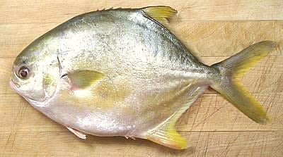 Pompano Whole Fish